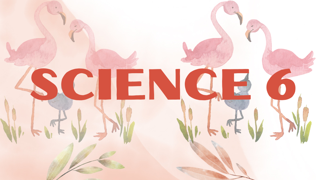 Science
